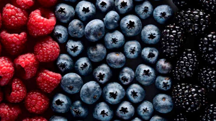 Blackberries: Health Benefits and Nutrition Information