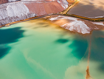 What are minerals and what do they do?